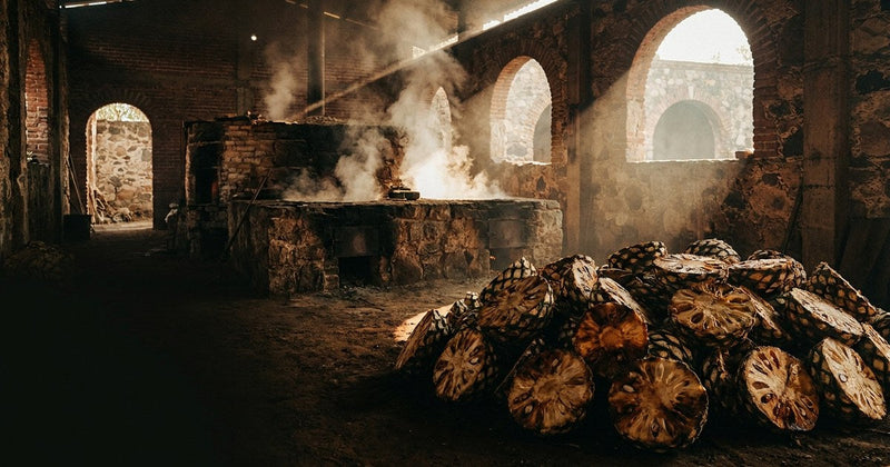 Authentic Tequila vs Celebrity Tequila: The Real Difference